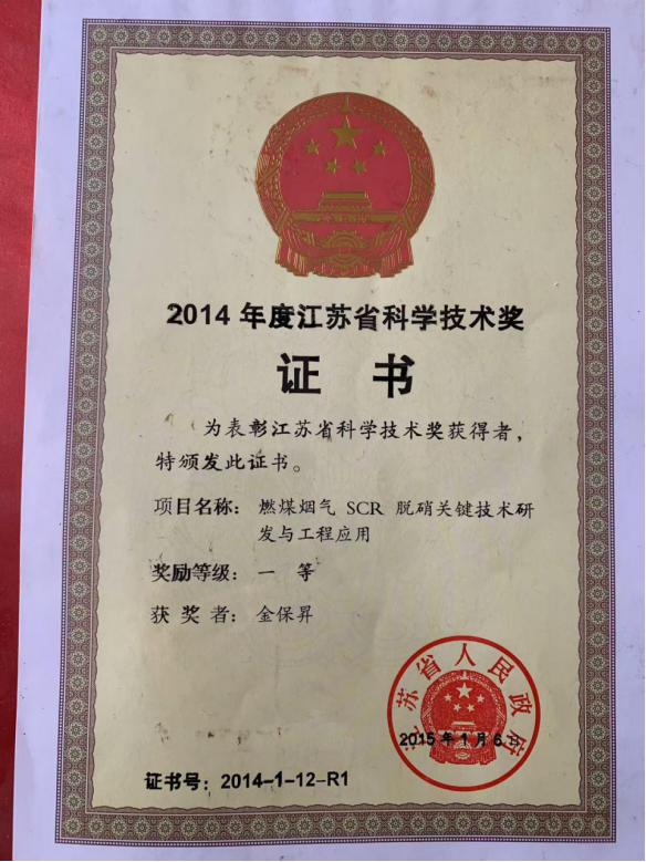 2015年，江苏省科学技术一等奖（金保昇），江苏省人民政府